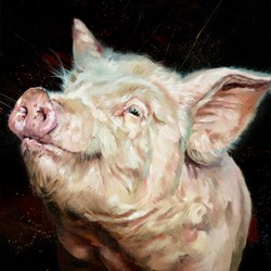 Happy Days by Debbie Boon - Limited Edition on Canvas sized 20x20 inches. Available from Whitewall Galleries